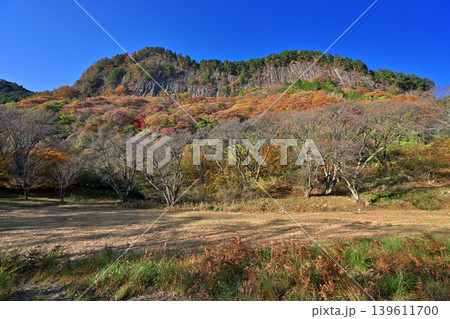 紅葉の屏風岩公苑（奈良県宇陀郡曽爾村） 139611700
