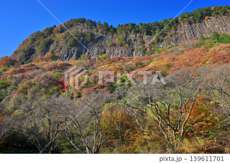 紅葉の屏風岩公苑(奈良県宇陀郡曽爾村) 紅葉の屏風岩公苑(奈良県宇陀郡曽爾村) 139611701