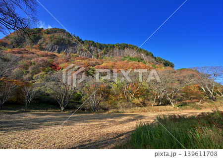紅葉の屏風岩公苑（奈良県宇陀郡曽爾村） 139611708