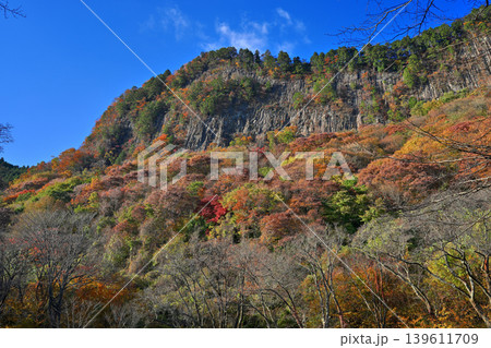 紅葉の屏風岩公苑(奈良県宇陀郡曽爾村) 紅葉の屏風岩公苑(奈良県宇陀郡曽爾村) 139611709