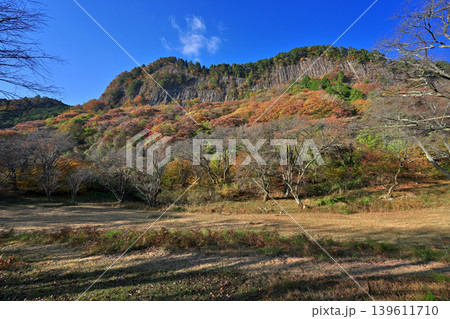 紅葉の屏風岩公苑（奈良県宇陀郡曽爾村） 139611710