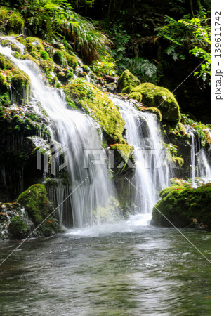 鳥海山・飛島ジオパーク 苔むす元滝伏流水の風景 鳥海山・飛島ジオパーク 苔むす元滝伏流水の風景 139611742