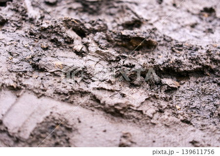 Detailed macro texture of wet brown mud and clay, organic earth surface background Detailed macro texture of wet brown mud and clay, organic earth surface background 139611756