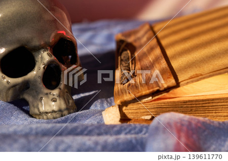 Elderly manuscript with insect details. Antique skull and worn pages evoke themes of mortality and historical reflection 139611770