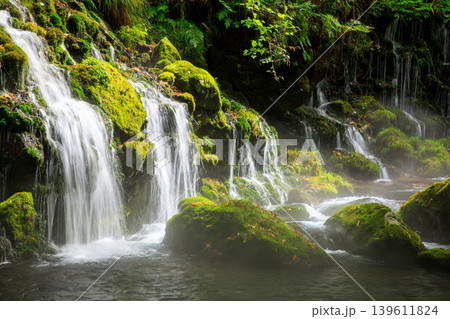 鳥海山・飛島ジオパーク 苔むす元滝伏流水の風景 鳥海山・飛島ジオパーク 苔むす元滝伏流水の風景 139611824