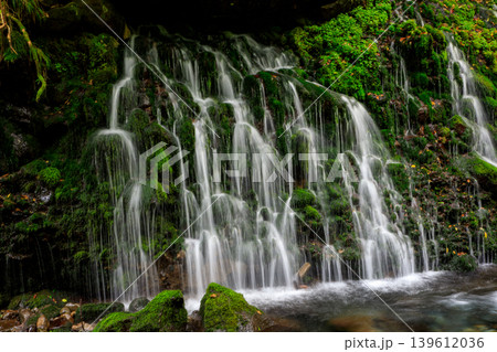 鳥海山・飛島ジオパーク 苔むす元滝伏流水の風景 鳥海山・飛島ジオパーク 苔むす元滝伏流水の風景 139612036