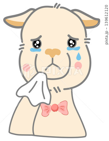 Cute Crying Alpaca Character 139612120