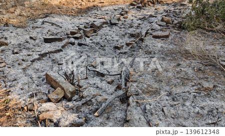 Wildfire ash covering dry ground after forest fire destruction 139612348
