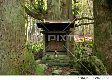保月の地蔵杉(滋賀県犬上郡多賀町) 保月の地蔵杉(滋賀県犬上郡多賀町) 139612828
