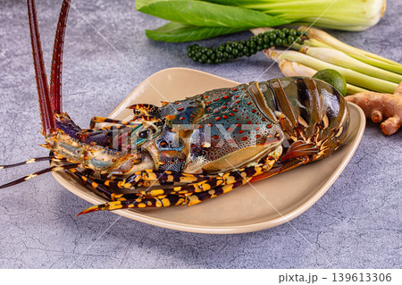 Raw wild fresh spiny lobster 139613306