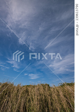 城ヶ島の空 城ヶ島の空 139613790