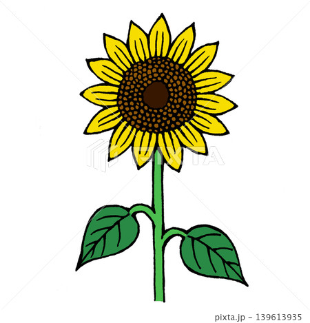 シンプルなひまわりの花のイラスト 139613935