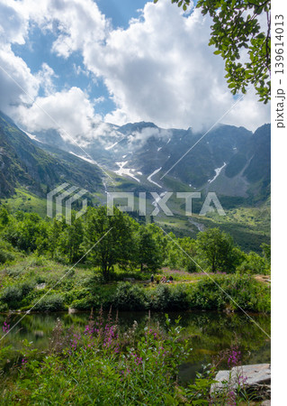 Alpine valley with lake and flowers in Les Contamines-Montjoie, France 139614013