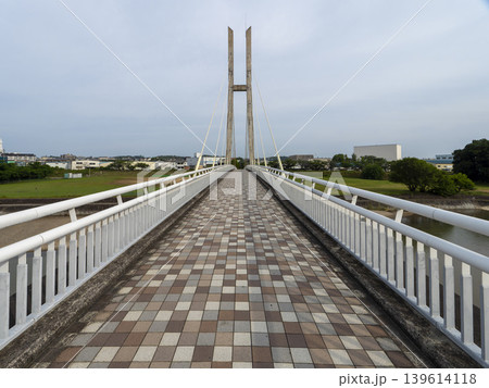 大阪府富田林市 石川に掛けられたサイクル橋 大阪府富田林市 石川に掛けられたサイクル橋 139614118