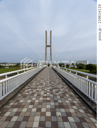 大阪府富田林市 石川に掛けられたサイクル橋 大阪府富田林市 石川に掛けられたサイクル橋 139614119