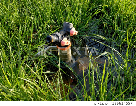 automatic water sprinkler for watering the lawn or garden automatic water sprinkler for watering the lawn or garden 139614557