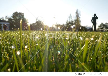 green grass with drops of morning dew in the rays of the rising sun green grass with drops of morning dew in the rays of the rising sun 139614558