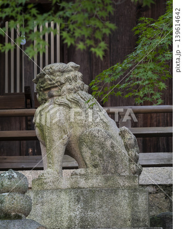 鐸比古鐸比賣神社の狛犬 鐸比古鐸比賣神社の狛犬 139614642