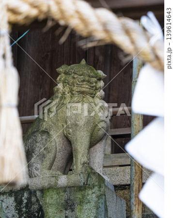 鐸比古鐸比賣神社の狛犬 鐸比古鐸比賣神社の狛犬 139614643