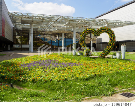 長居植物園の大花壇 長居植物園の大花壇 139614847
