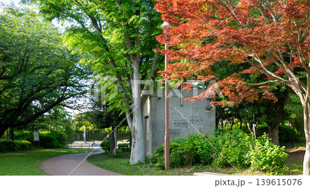 相模大野中央公園の新緑とそびえ立つ高層マンション 神奈川県相模原市 139615076