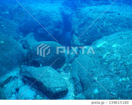 美しい海中写真 139615180