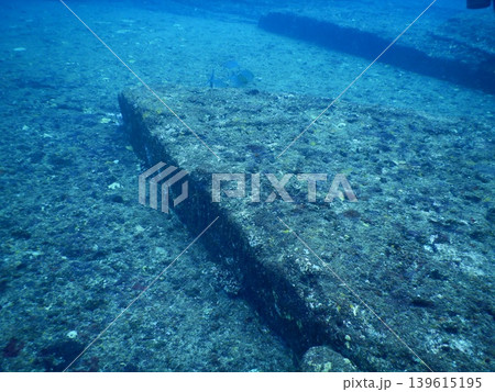 美しい海中写真 139615195