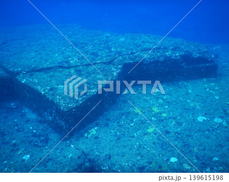 美しい海中写真 139615198