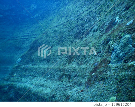 美しい海中写真 139615204