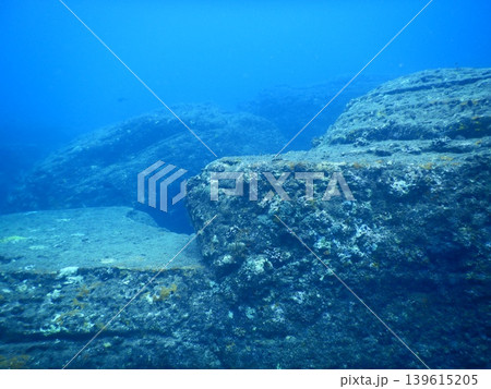 美しい海中写真 美しい海中写真 139615205