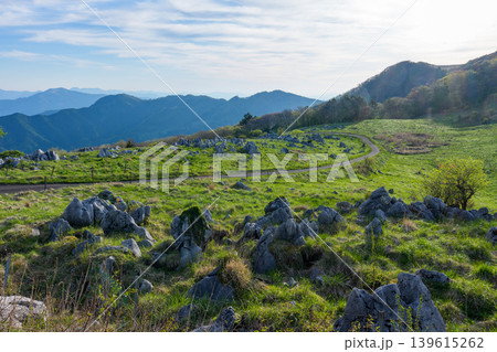 ゴールデンウィークの早朝に広がる四国カルストの絶景風景 139615262