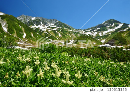 夏の立山連峰を望む 夏の立山連峰を望む 139615526
