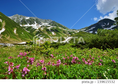 夏の立山連峰を望む 夏の立山連峰を望む 139615532
