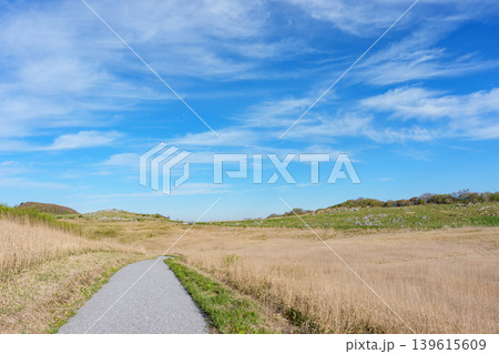 四国カルストの草原に続く散策路と絶景風景 四国カルストの草原に続く散策路と絶景風景 139615609