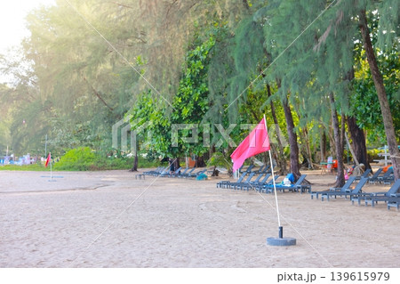 Empty tropical sandy beach resort with relaxing sun loungers under lush green pine trees shade and a red warning flag in foreground indicating no swimming on a bright sunny summer vacation holiday. 139615979
