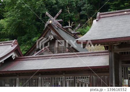 出雲 佐太神社の風景 出雲 佐太神社の風景 139616552