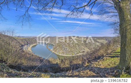Loreley viewpoint with oak tree over the Rhine River bend 139616782