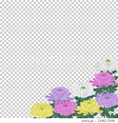 【菊の花のフレーム】手刺繍イラスト素材 139617046