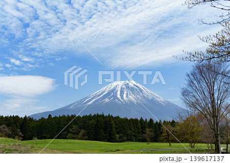 朝霧高原から望む美しい春の富士山 朝霧高原から望む美しい春の富士山 139617137