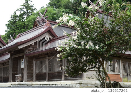 出雲 百日紅が咲く佐太神社 出雲 百日紅が咲く佐太神社 139617261