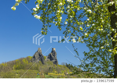 Trosky Castle view framed by blooming spring branches 139617599