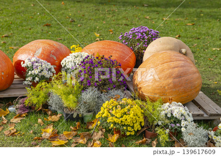 Autumn pumpkins and blooming flowers decorating market display in Prague Autumn pumpkins and blooming flowers decorating market display in Prague 139617609