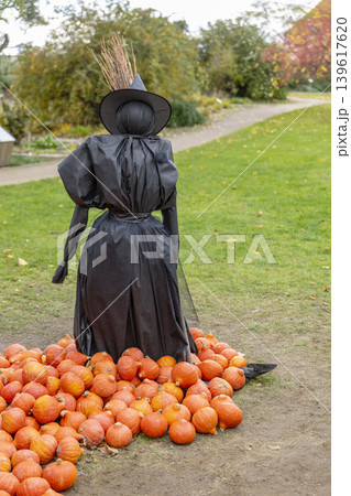 Witch scarecrow standing among many orange pumpkins Witch scarecrow standing among many orange pumpkins 139617620