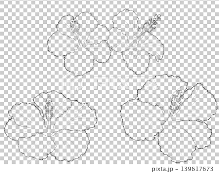 ハイビスカスのイラスト ハイビスカスのイラスト 139617673