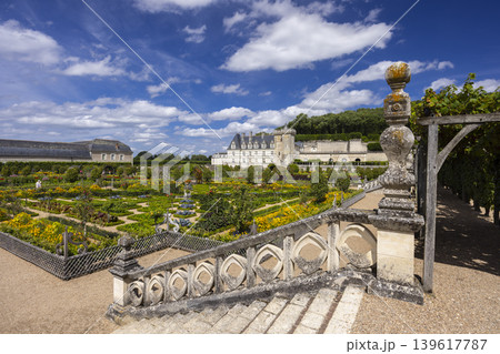 Chateau de Villandry vegetable and ornamental gardens 139617787