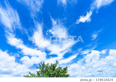 春の青空と雲と新緑 春の青空と雲と新緑 139618024