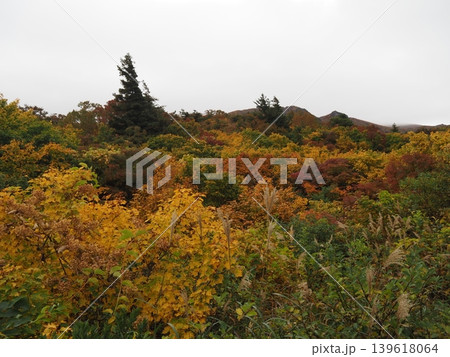 10月上旬の栗駒山(岩手県一関市・宮城県栗原市・秋田県東成瀬村) 10月上旬の栗駒山(岩手県一関市・宮城県栗原市・秋田県東成瀬村) 139618064