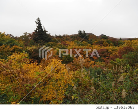 10月上旬の栗駒山(岩手県一関市・宮城県栗原市・秋田県東成瀬村) 10月上旬の栗駒山(岩手県一関市・宮城県栗原市・秋田県東成瀬村) 139618065