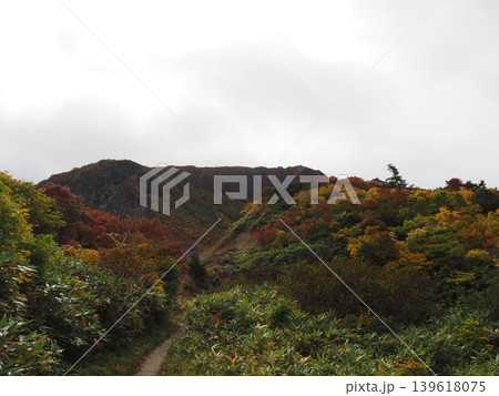 10月上旬の栗駒山(岩手県一関市・宮城県栗原市・秋田県東成瀬村) 10月上旬の栗駒山(岩手県一関市・宮城県栗原市・秋田県東成瀬村) 139618075