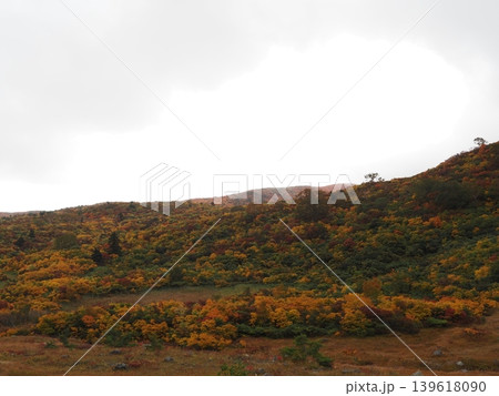 10月上旬の栗駒山(岩手県一関市・宮城県栗原市・秋田県東成瀬村) 10月上旬の栗駒山(岩手県一関市・宮城県栗原市・秋田県東成瀬村) 139618090